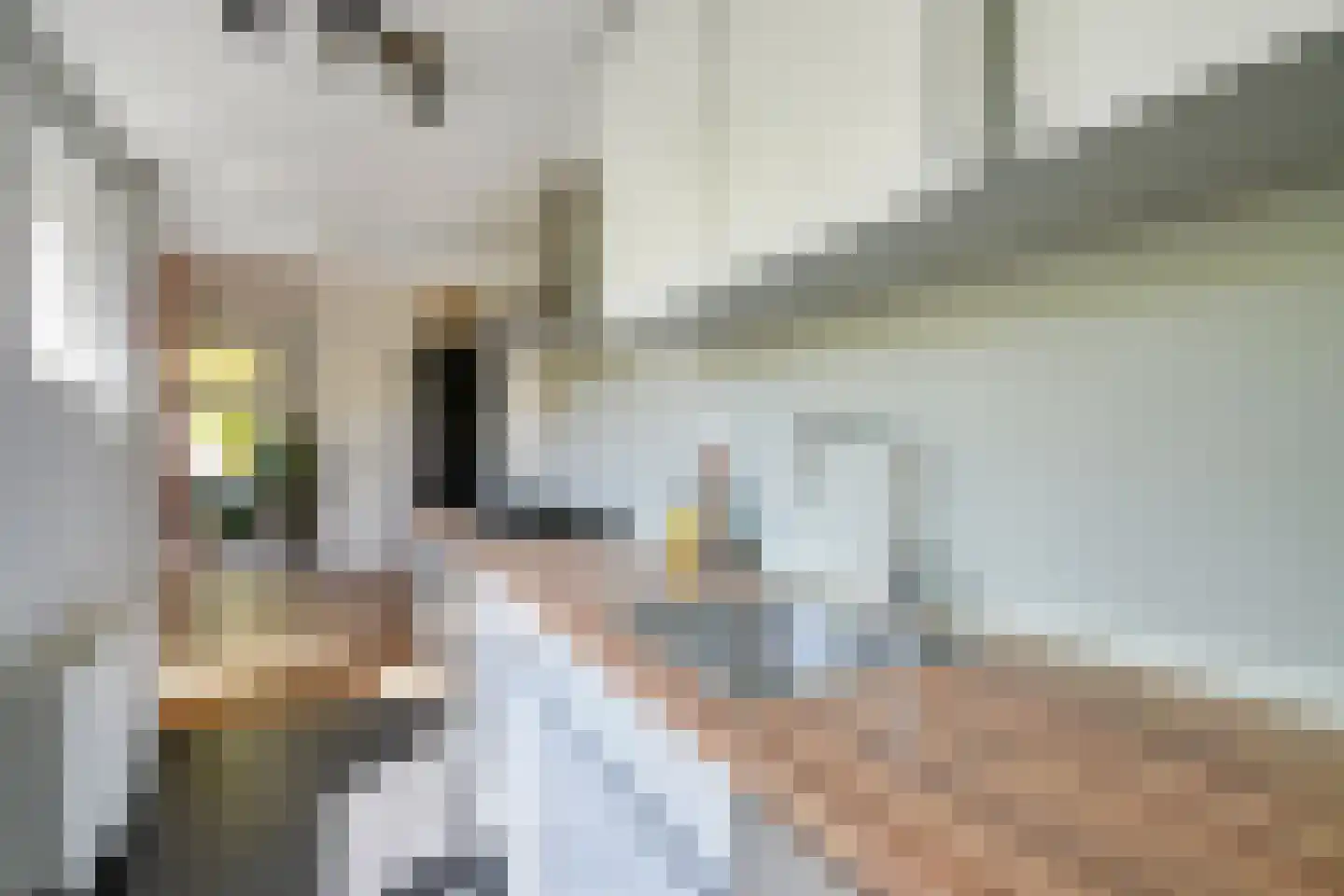 Blokstraat 21 Utrecht thumbnail 19