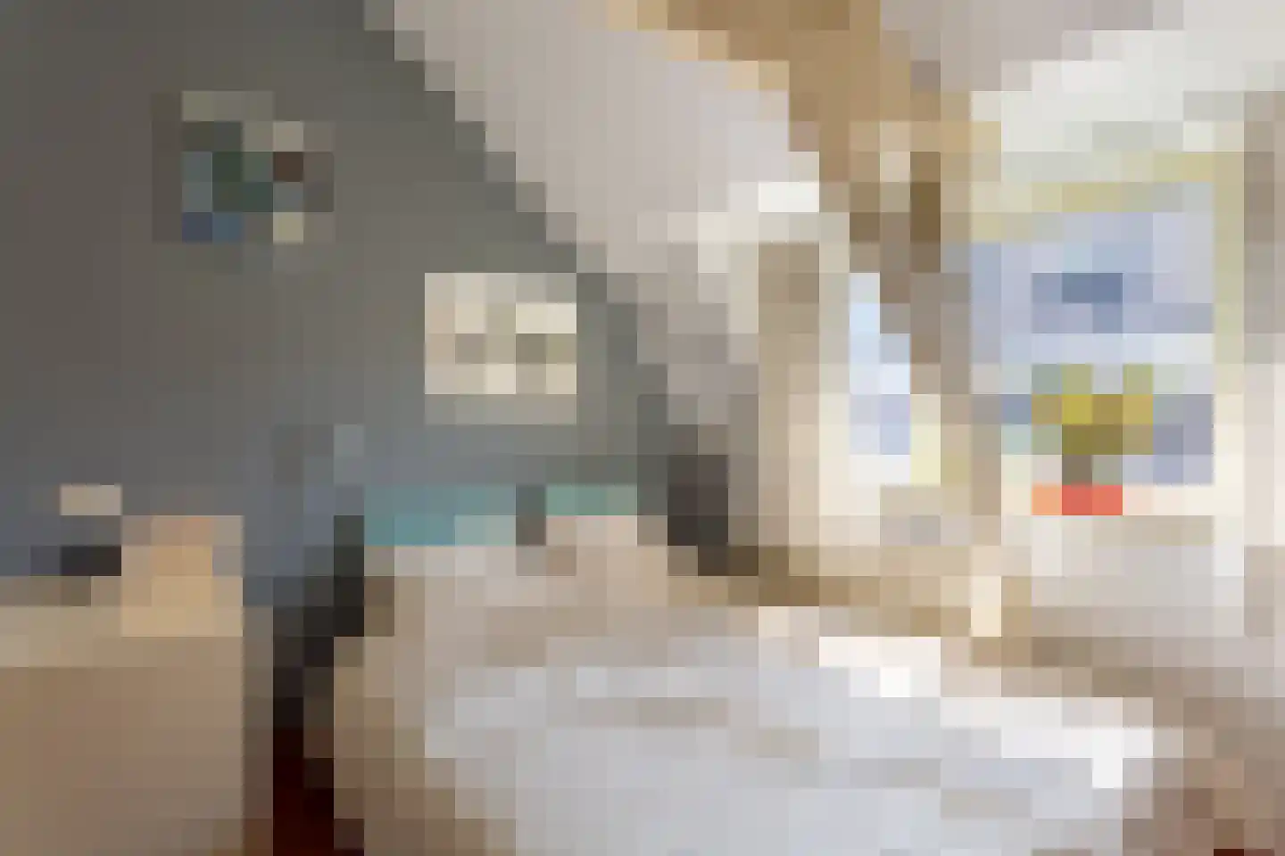 Blokstraat 22 Utrecht thumbnail 18
