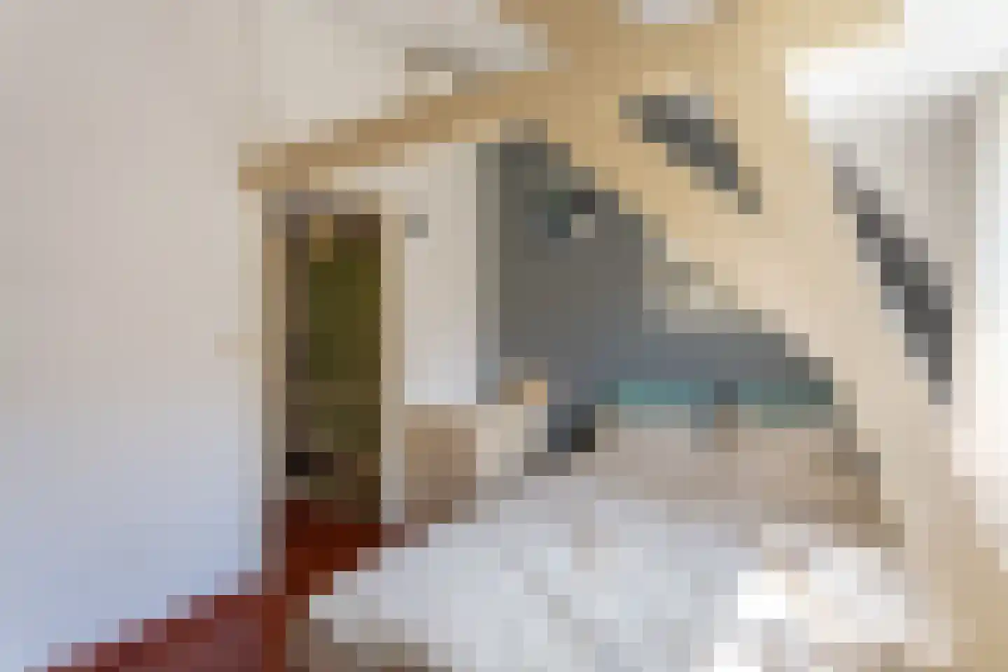 Blokstraat 22 Utrecht thumbnail 19