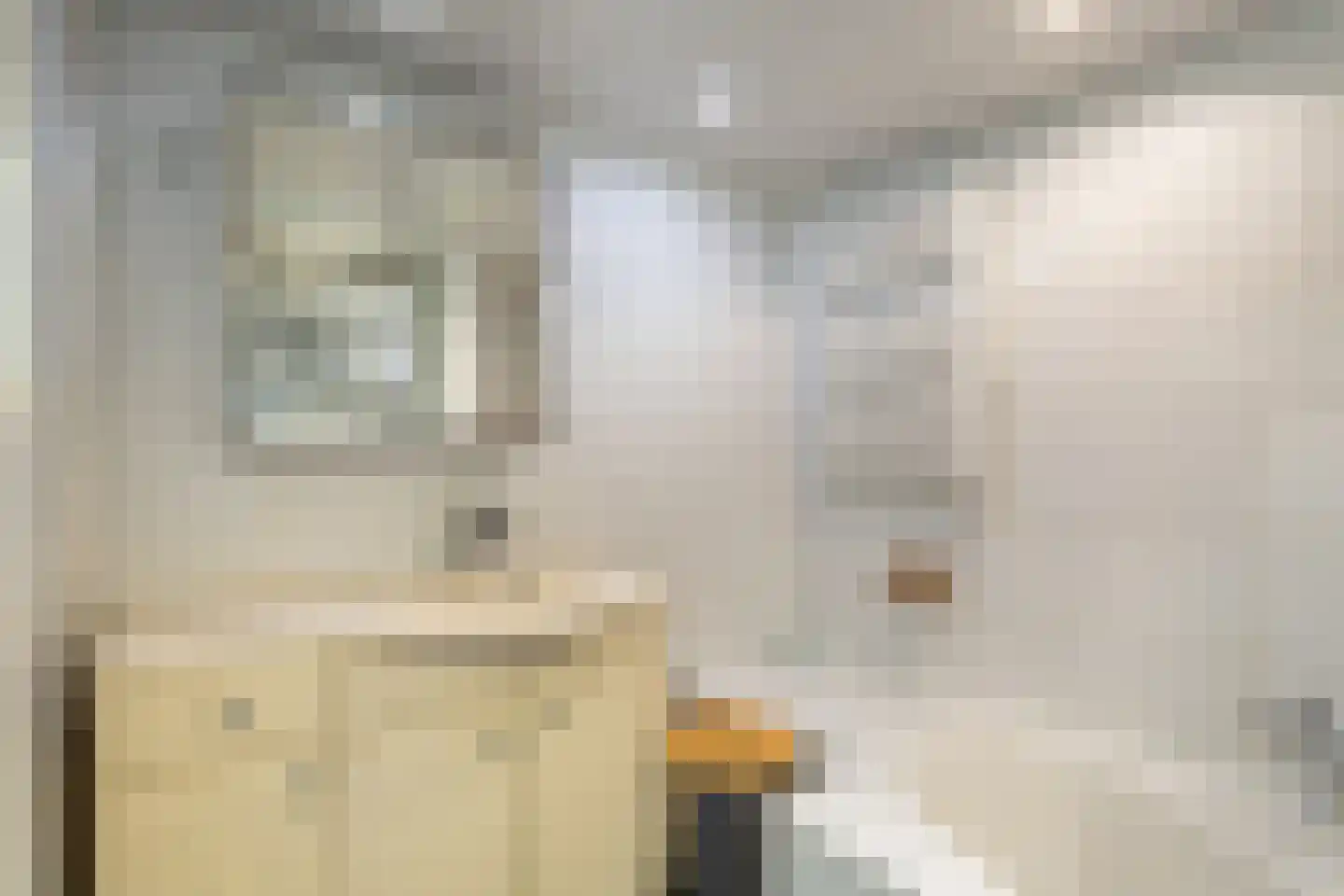 Blokstraat 22 Utrecht thumbnail 28