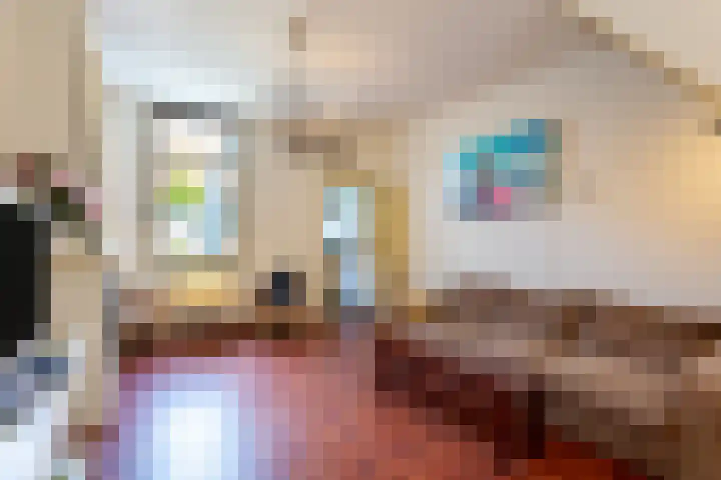 Blokstraat 22 Utrecht thumbnail 6