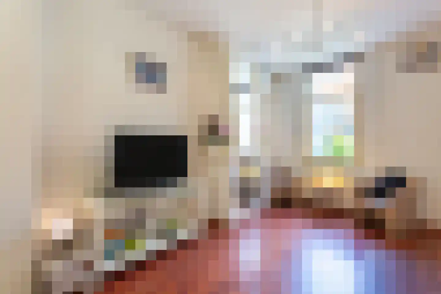 Blokstraat 22 Utrecht thumbnail 7