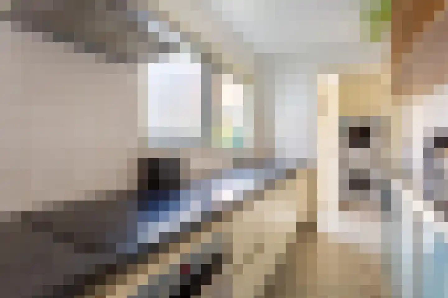 Blokstraat 22 Utrecht thumbnail 8