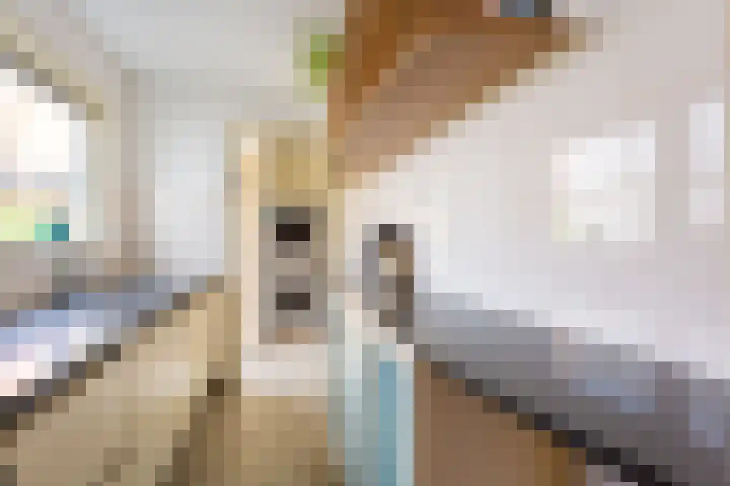 Blokstraat 22 Utrecht thumbnail 9