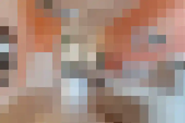 Blokstraat 41 Zwolle thumbnail 13
