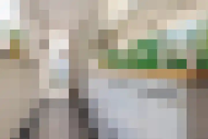 Blokstraat 41 Zwolle thumbnail 15