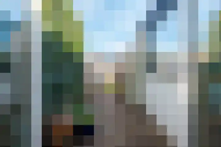 Blokstraat 41 Zwolle thumbnail 20