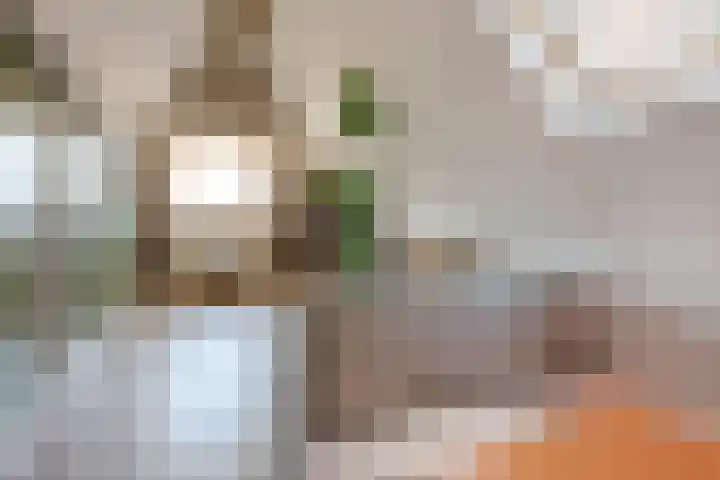 Blokstraat 41 Zwolle thumbnail 27