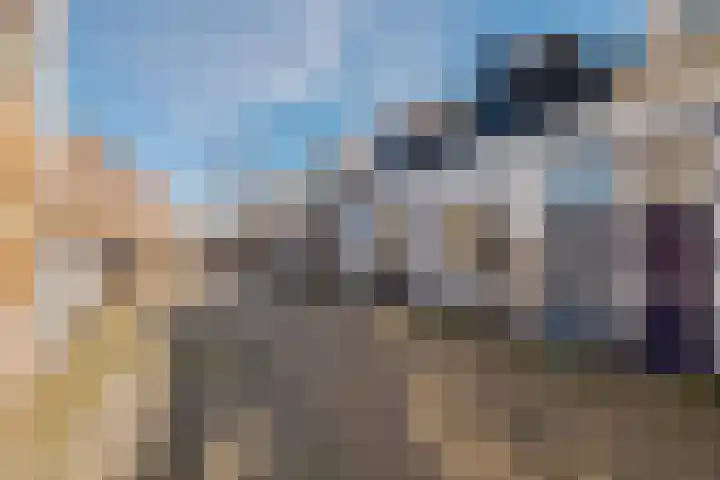 Blokstraat 41 Zwolle thumbnail 34