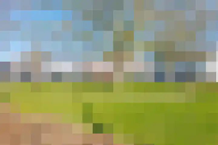 Blokstraat 41 Zwolle thumbnail 36