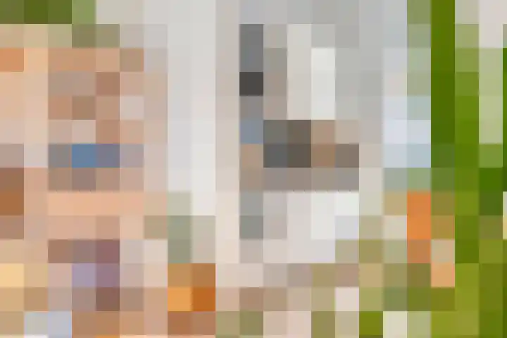 Blokstraat 51 Zwolle thumbnail 10