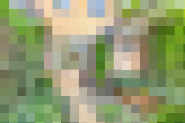 Blokstraat 51 Zwolle thumbnail 31