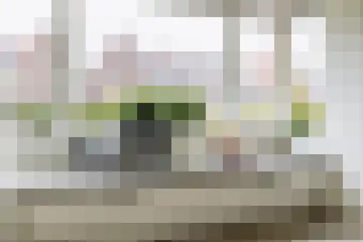 Blokvang 14 Moerkapelle thumbnail 17