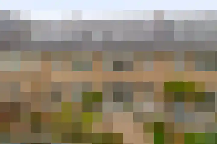 Blokvang 14 Moerkapelle thumbnail 34