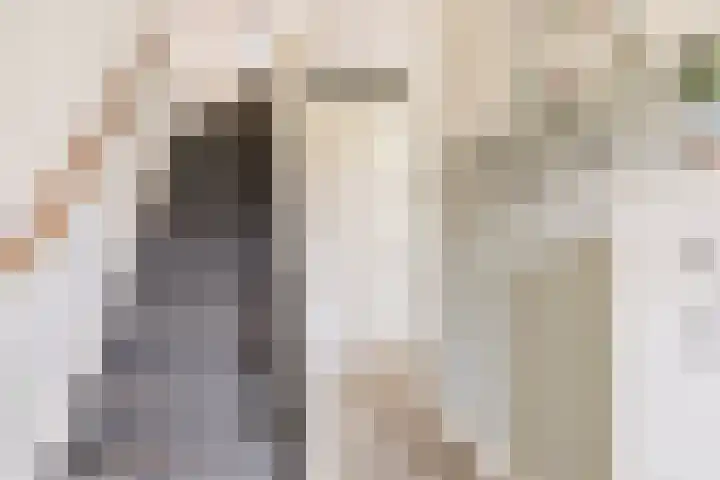 Blokvang 14 Moerkapelle thumbnail 6