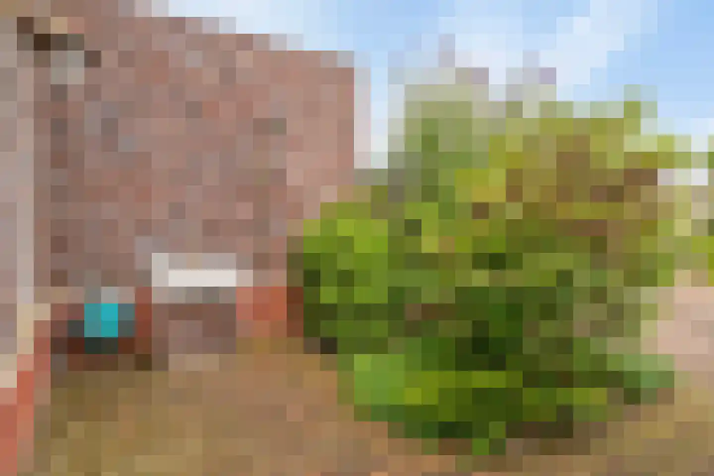 Blokvang 21 Moerkapelle thumbnail 26