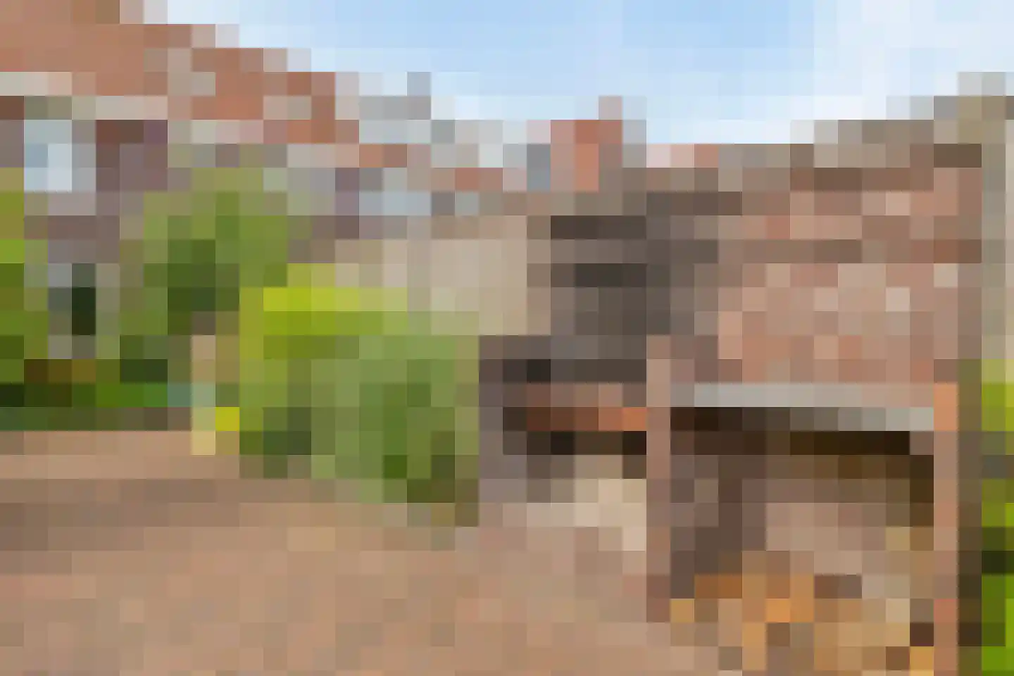 Blokvang 21 Moerkapelle thumbnail 28