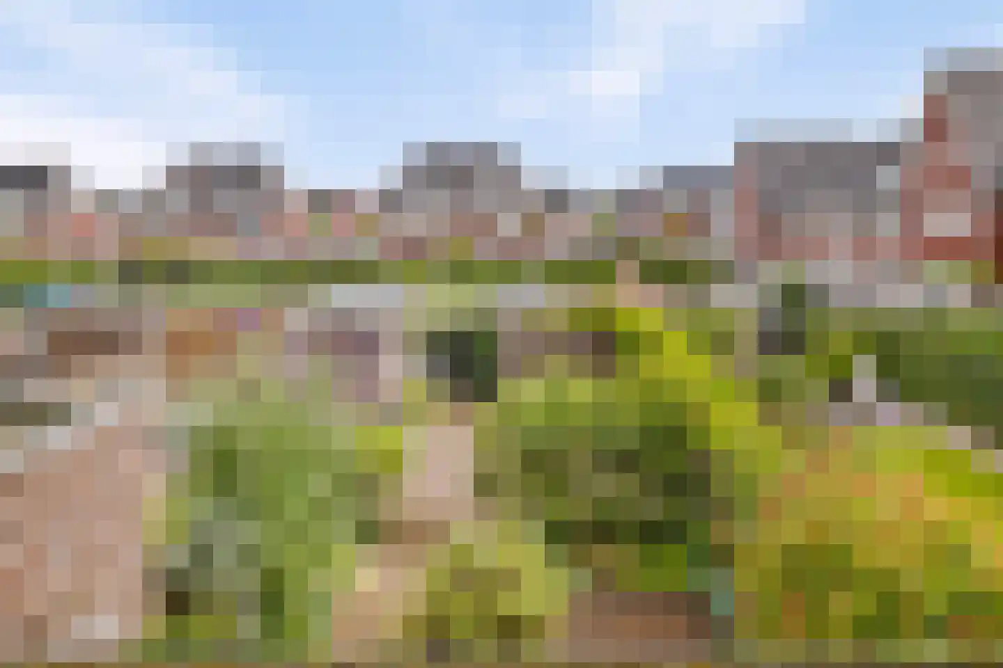 Blokvang 21 Moerkapelle thumbnail 30