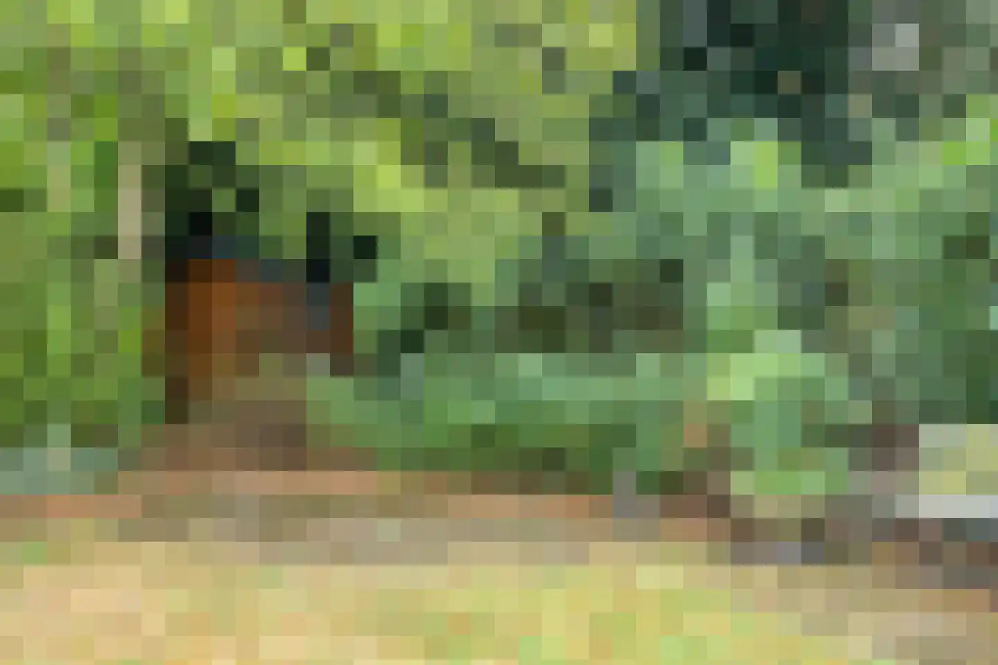 Blokvenlaan 10 Waalre thumbnail 8
