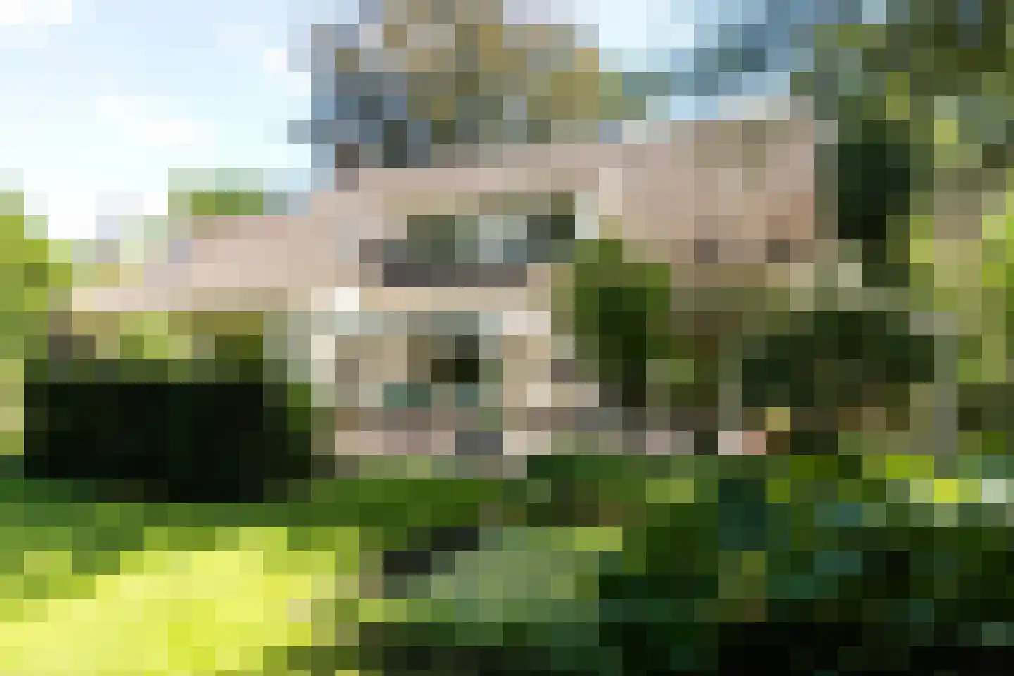 Blokvenlaan 47 Waalre thumbnail 10