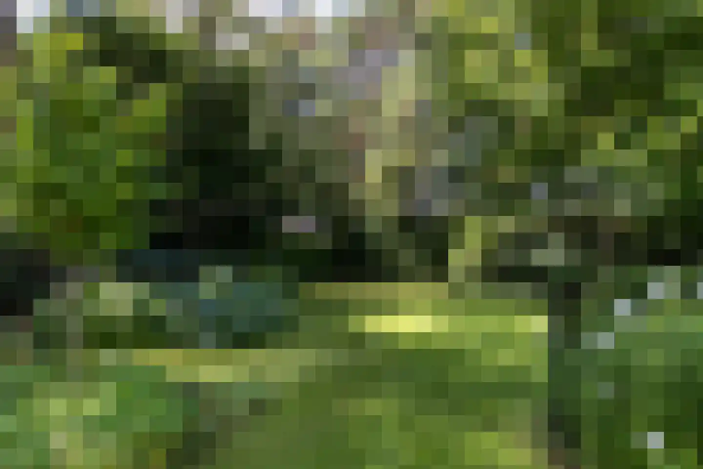 Blokvenlaan 47 Waalre thumbnail 14