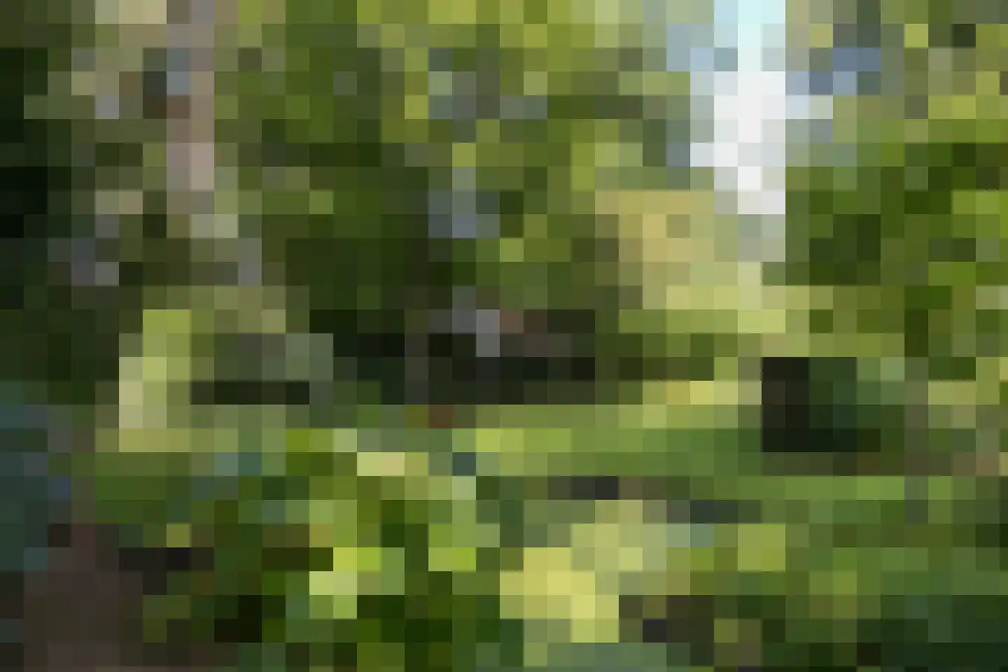 Blokvenlaan 47 Waalre thumbnail 15