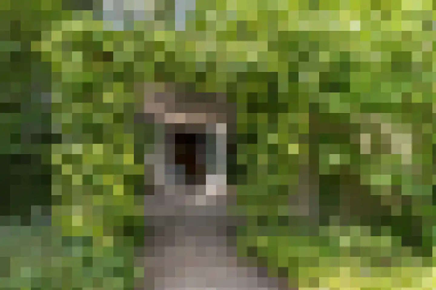 Blokvenlaan 47 Waalre thumbnail 17