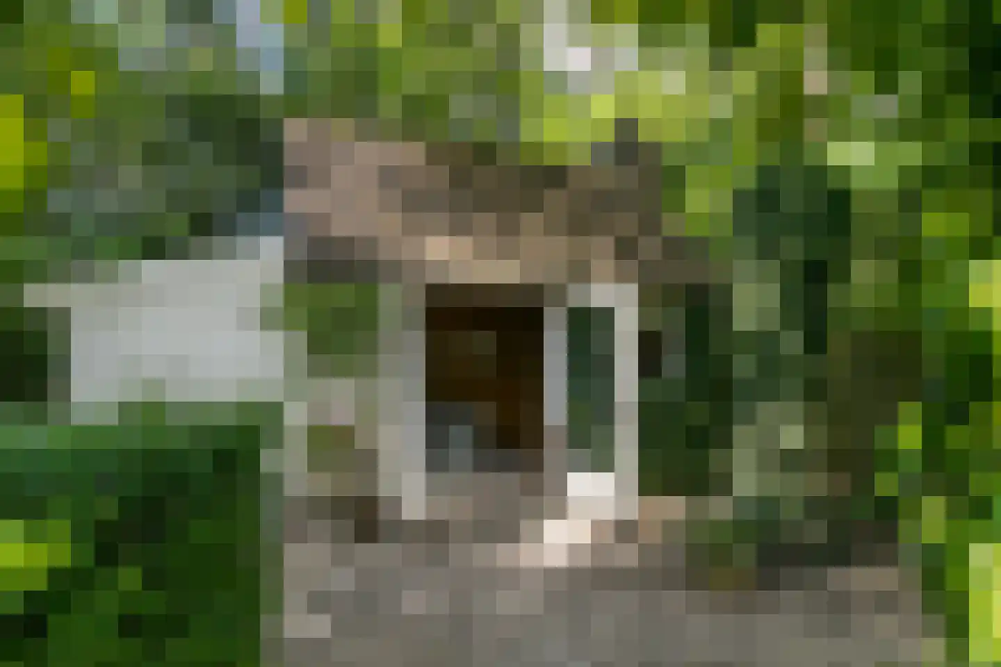 Blokvenlaan 47 Waalre thumbnail 18