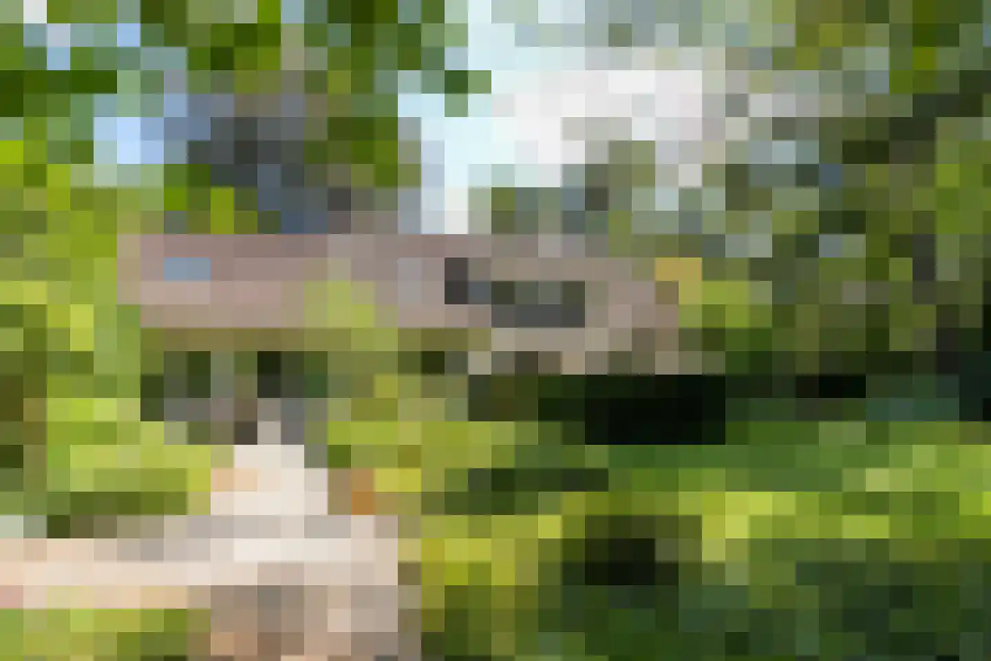 Blokvenlaan 47 Waalre thumbnail 19