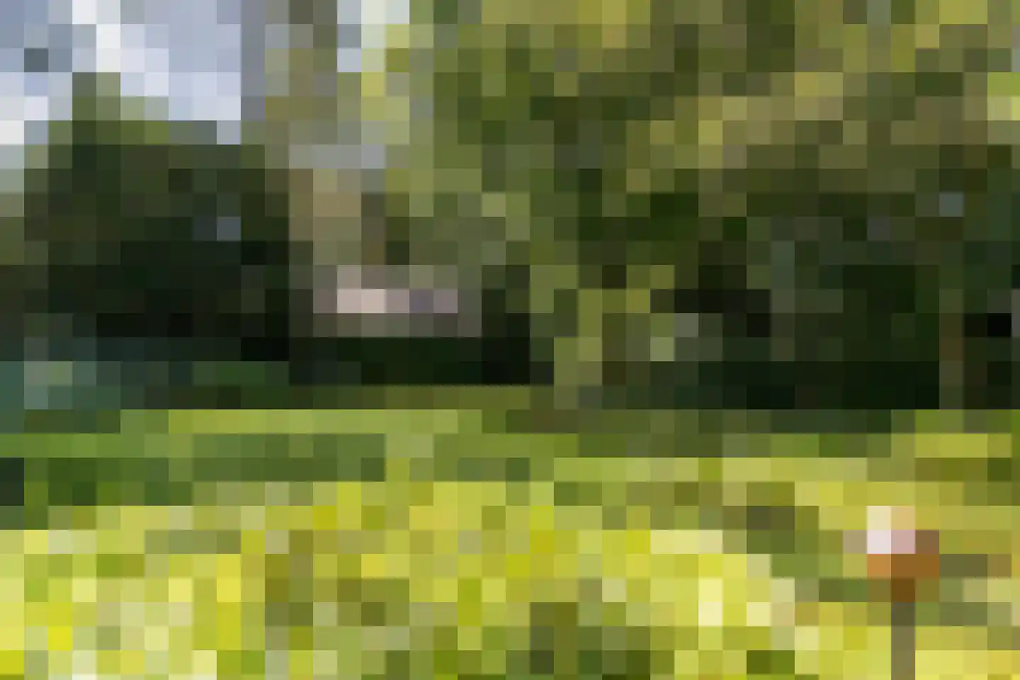 Blokvenlaan 47 Waalre thumbnail 20