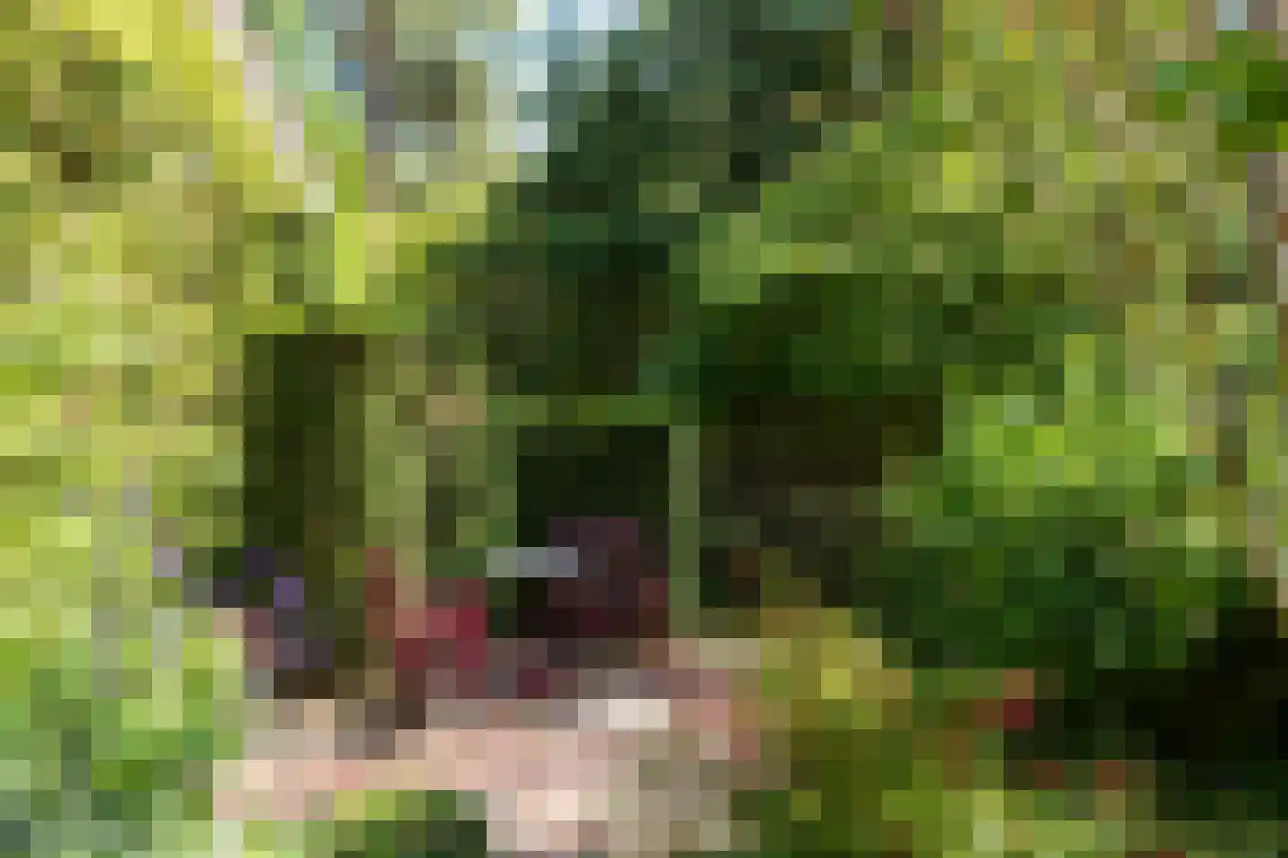 Blokvenlaan 47 Waalre thumbnail 21
