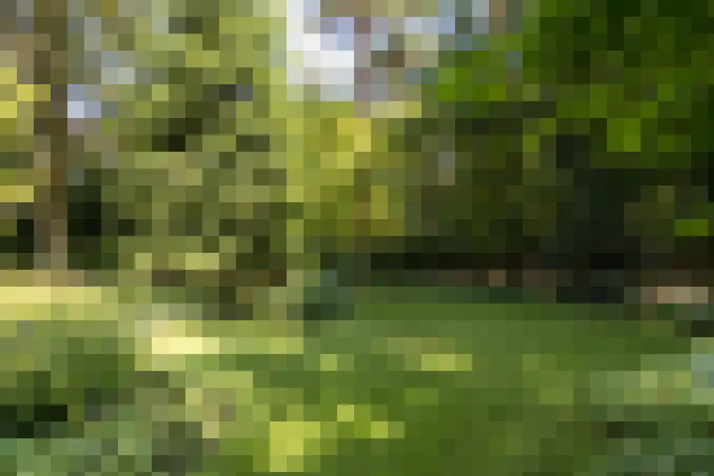 Blokvenlaan 47 Waalre thumbnail 22