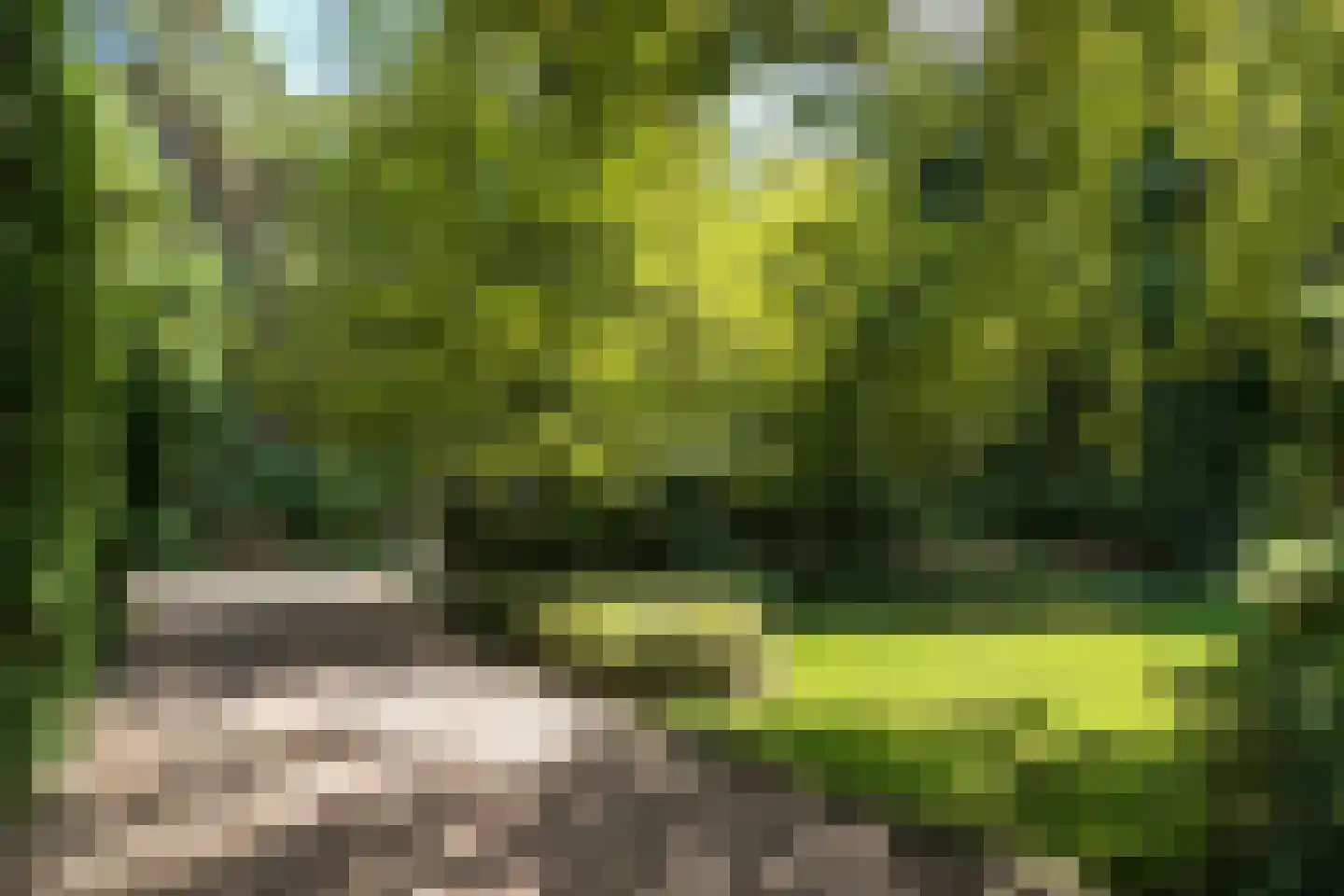 Blokvenlaan 47 Waalre thumbnail 23
