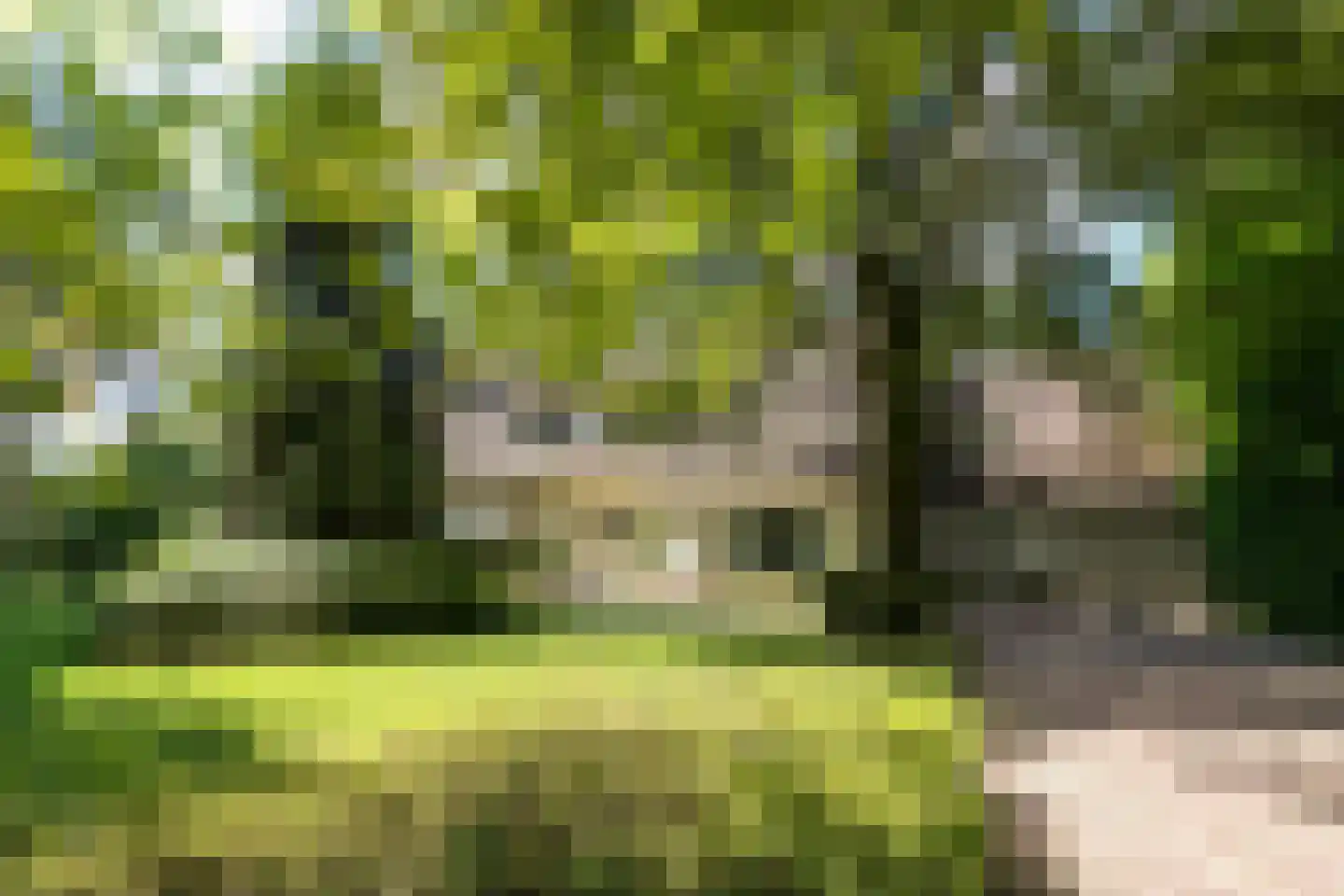 Blokvenlaan 47 Waalre thumbnail 24