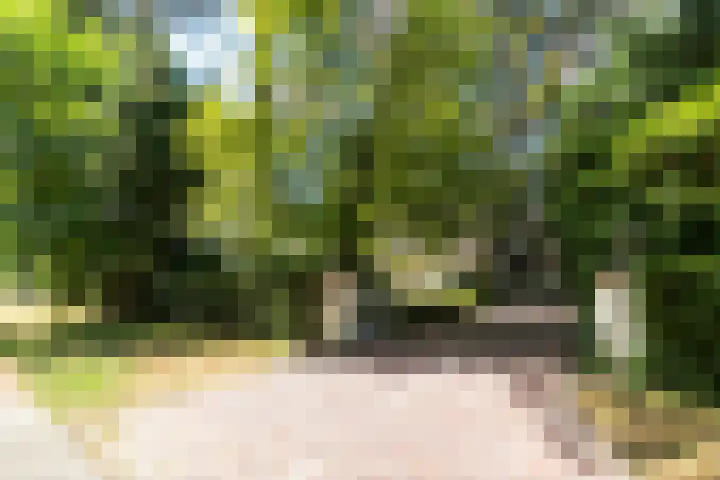 Blokvenlaan 47 Waalre thumbnail 25