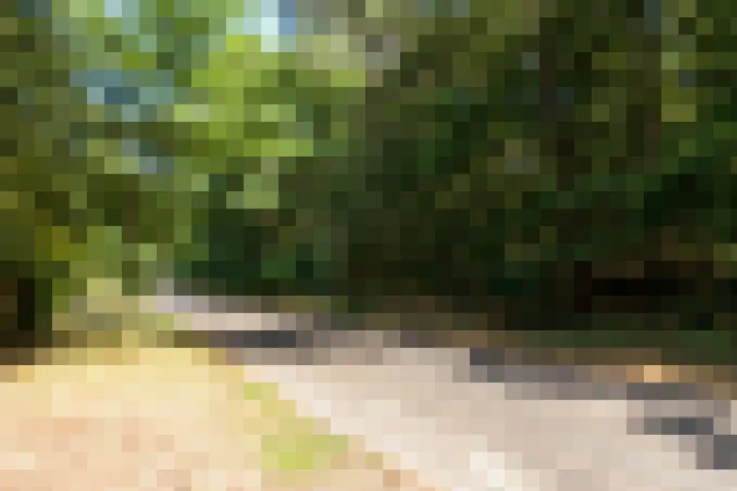 Blokvenlaan 47 Waalre thumbnail 27