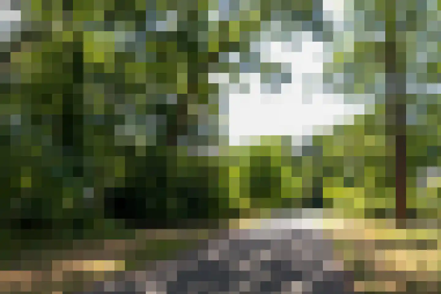 Blokvenlaan 47 Waalre thumbnail 28