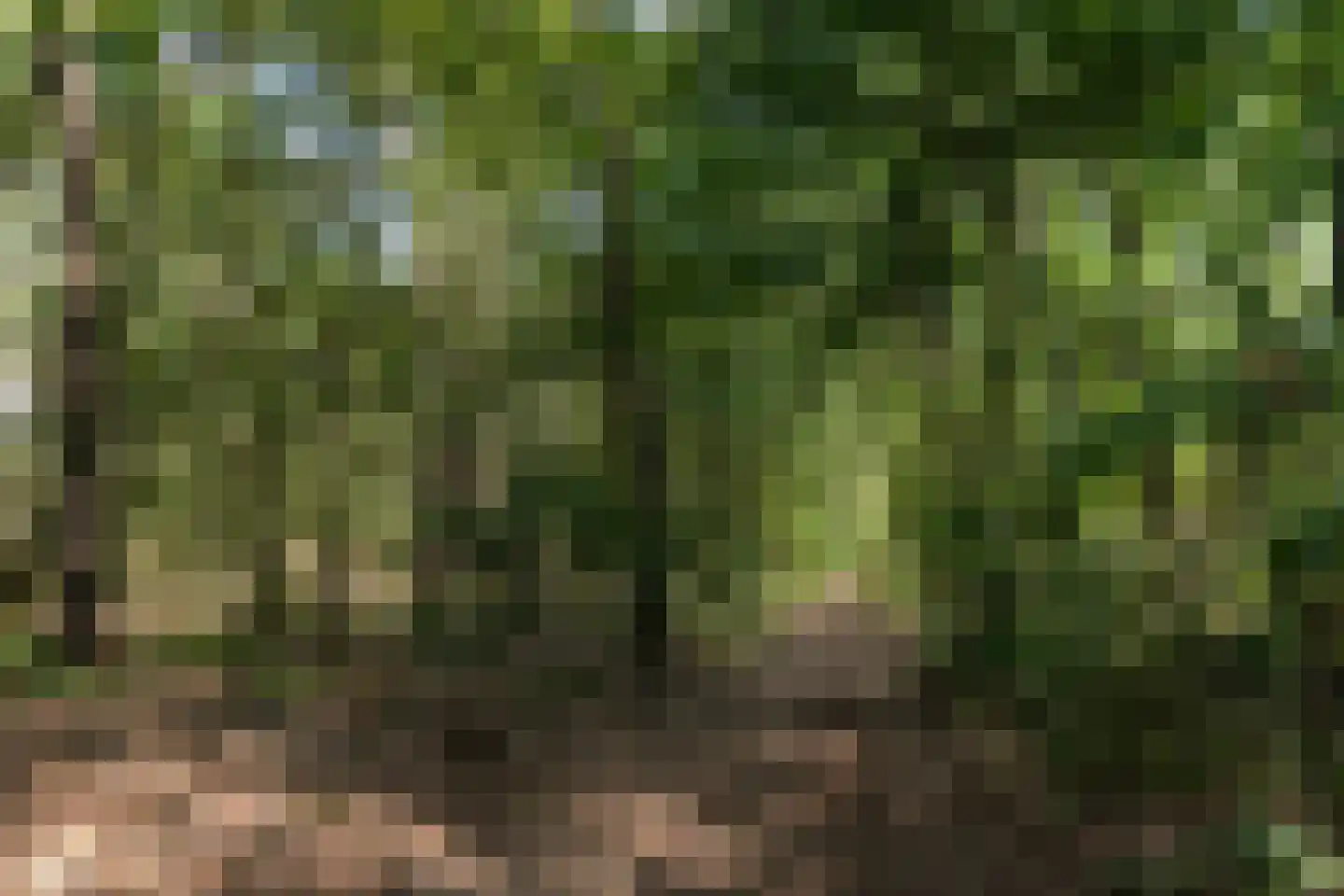 Blokvenlaan 47 Waalre thumbnail 30