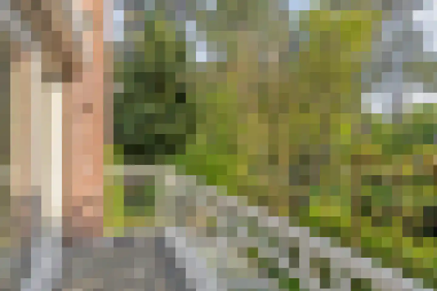 Blokvenlaan 47 Waalre thumbnail 32