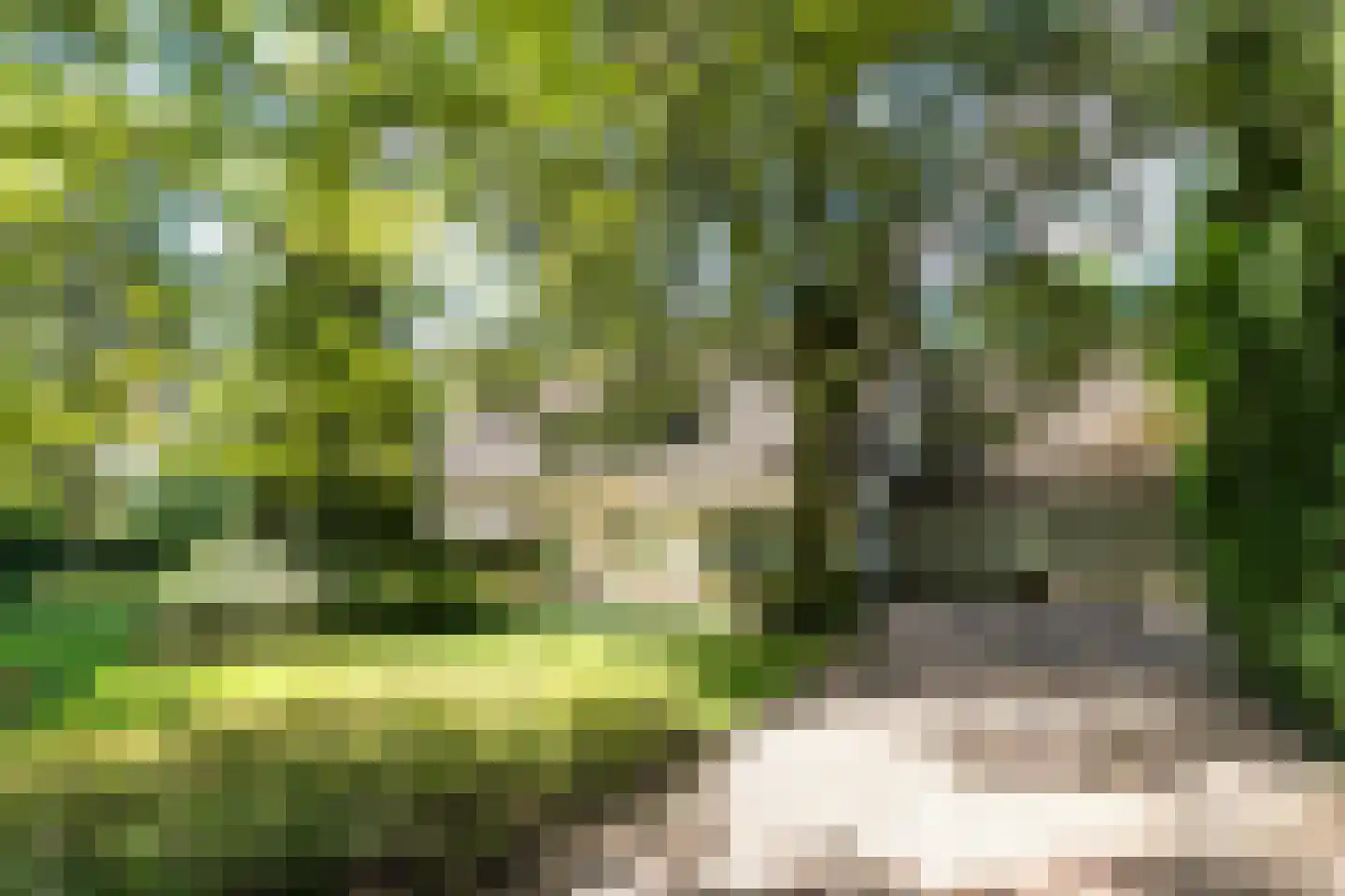 Blokvenlaan 47 Waalre thumbnail 4