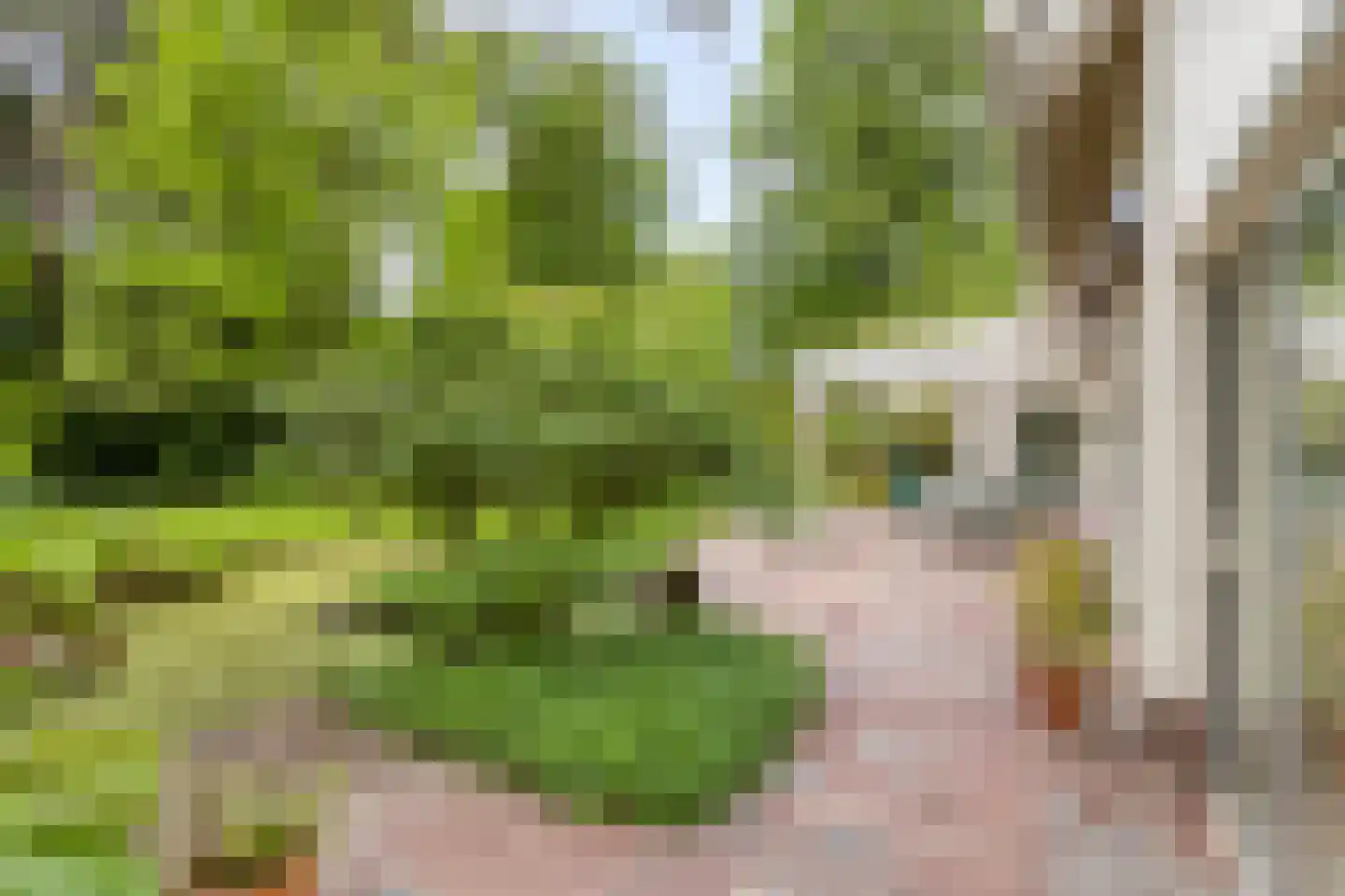 Blokvenlaan 47 Waalre thumbnail 44