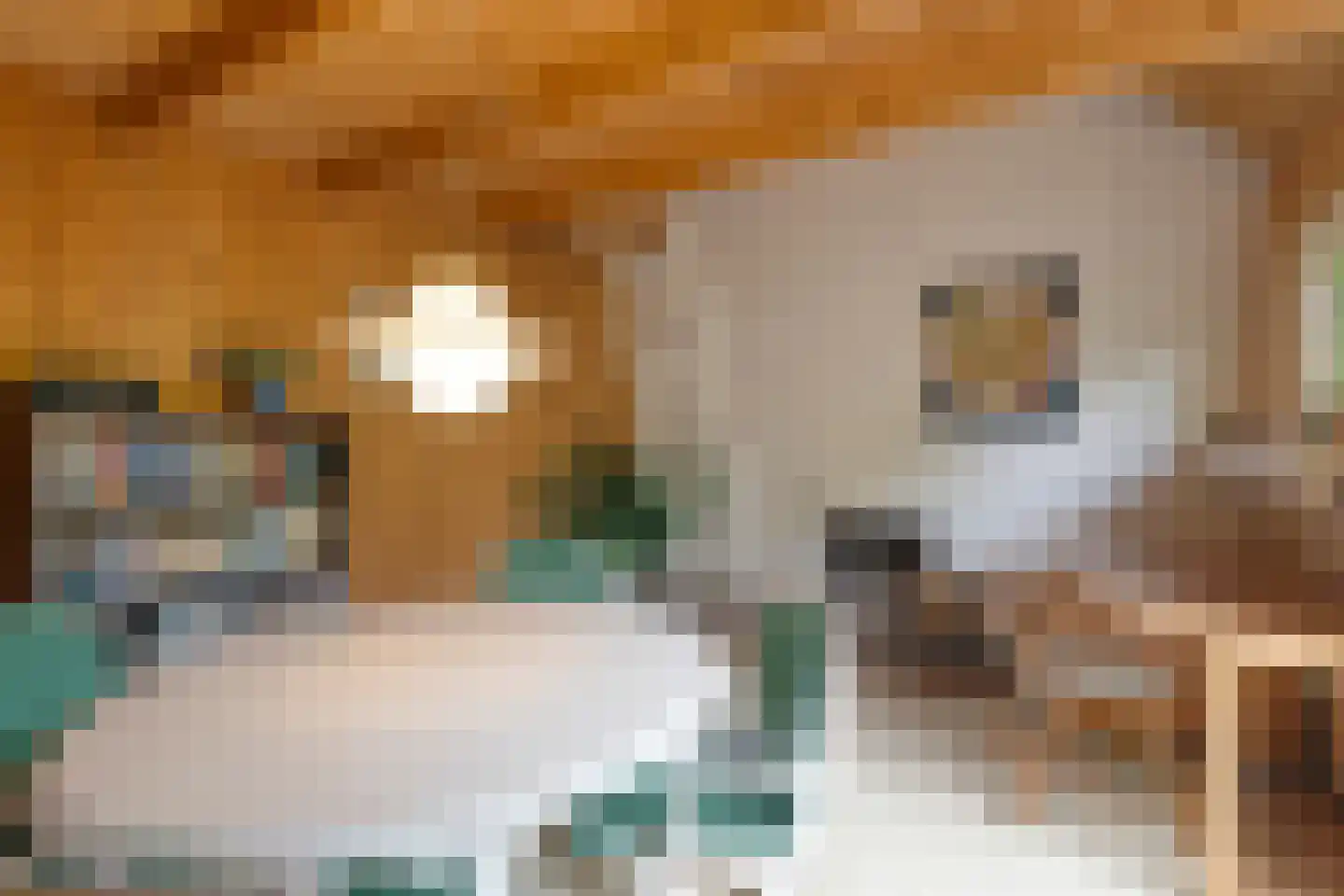 Blokvenlaan 47 Waalre thumbnail 49