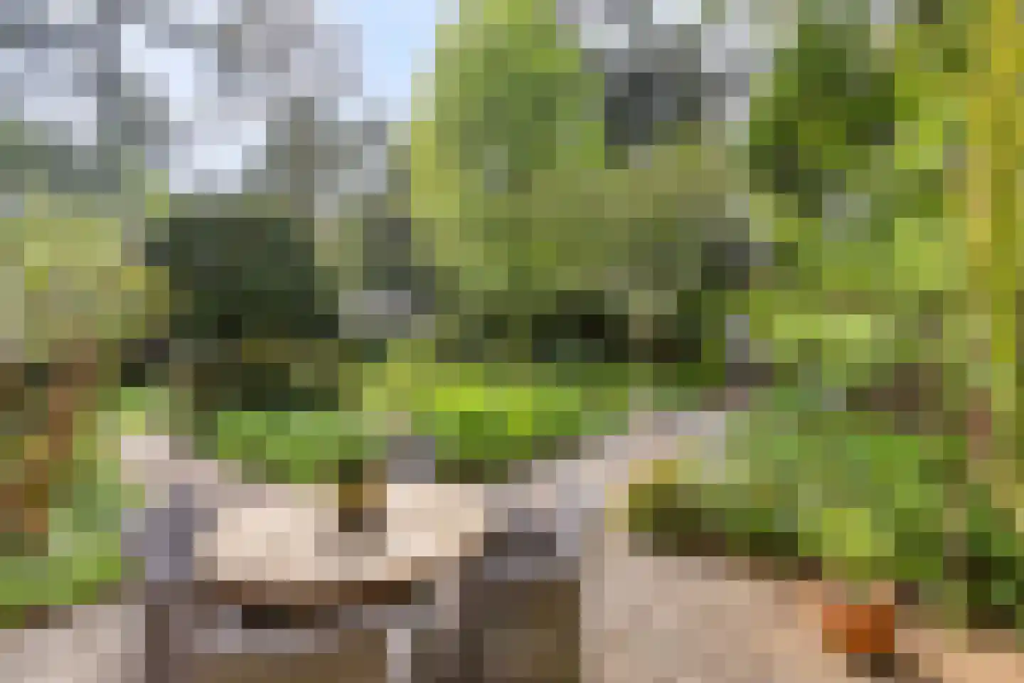 Blokvenlaan 47 Waalre thumbnail 5