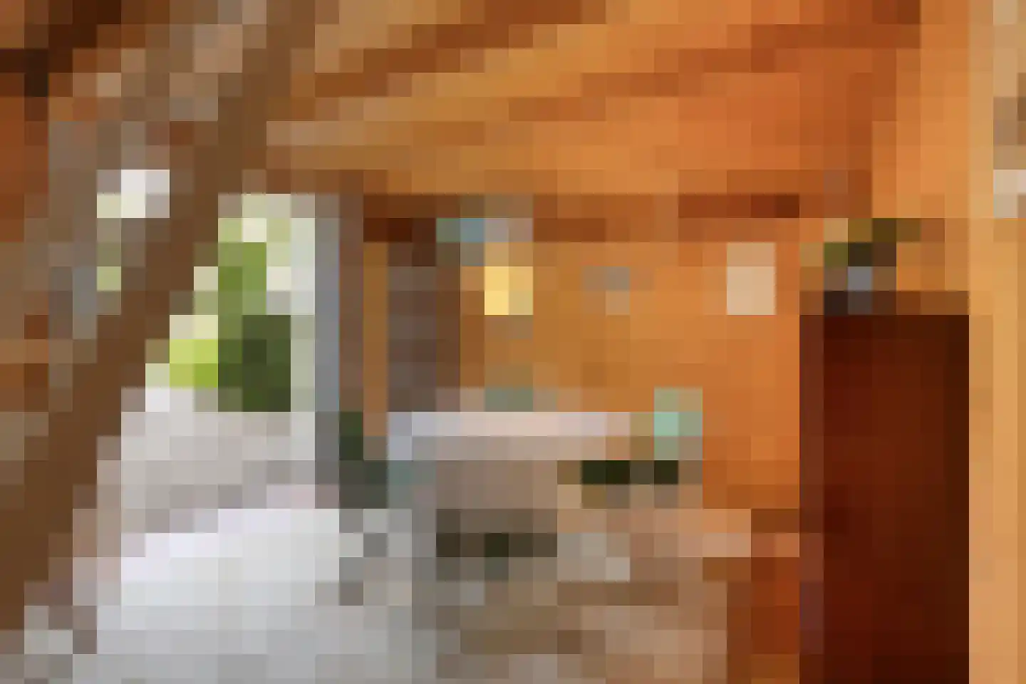 Blokvenlaan 47 Waalre thumbnail 50