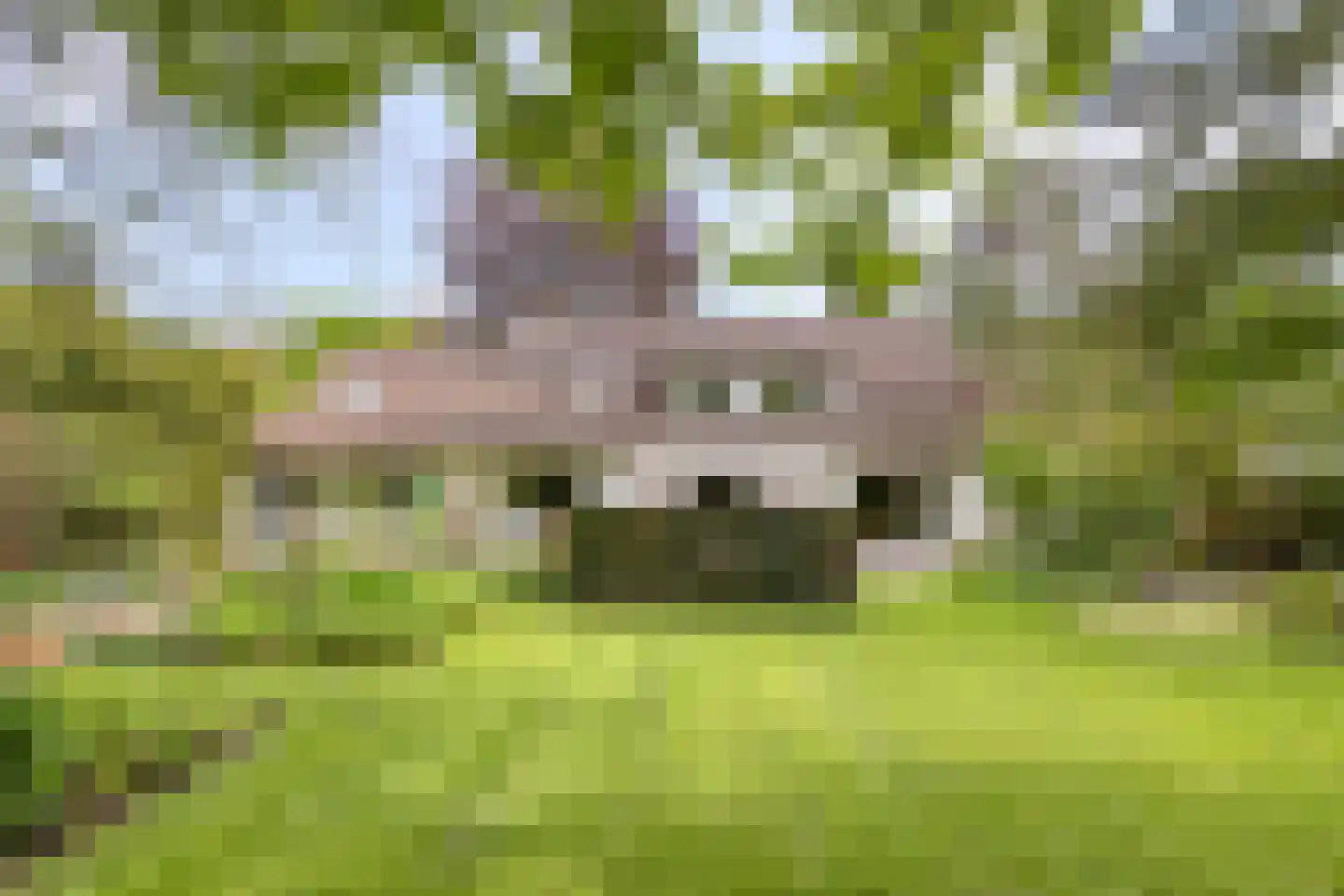 Blokvenlaan 47 Waalre thumbnail 52