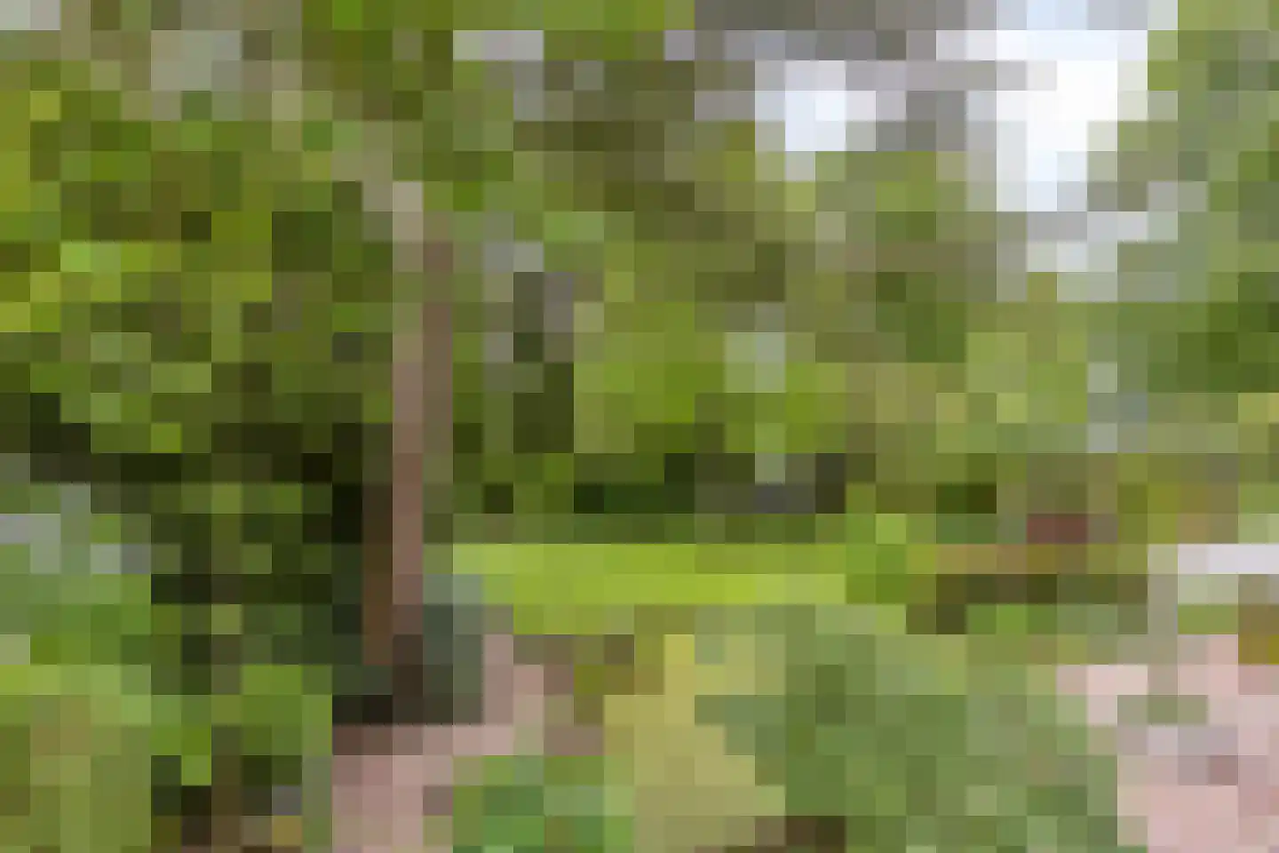 Blokvenlaan 47 Waalre thumbnail 53