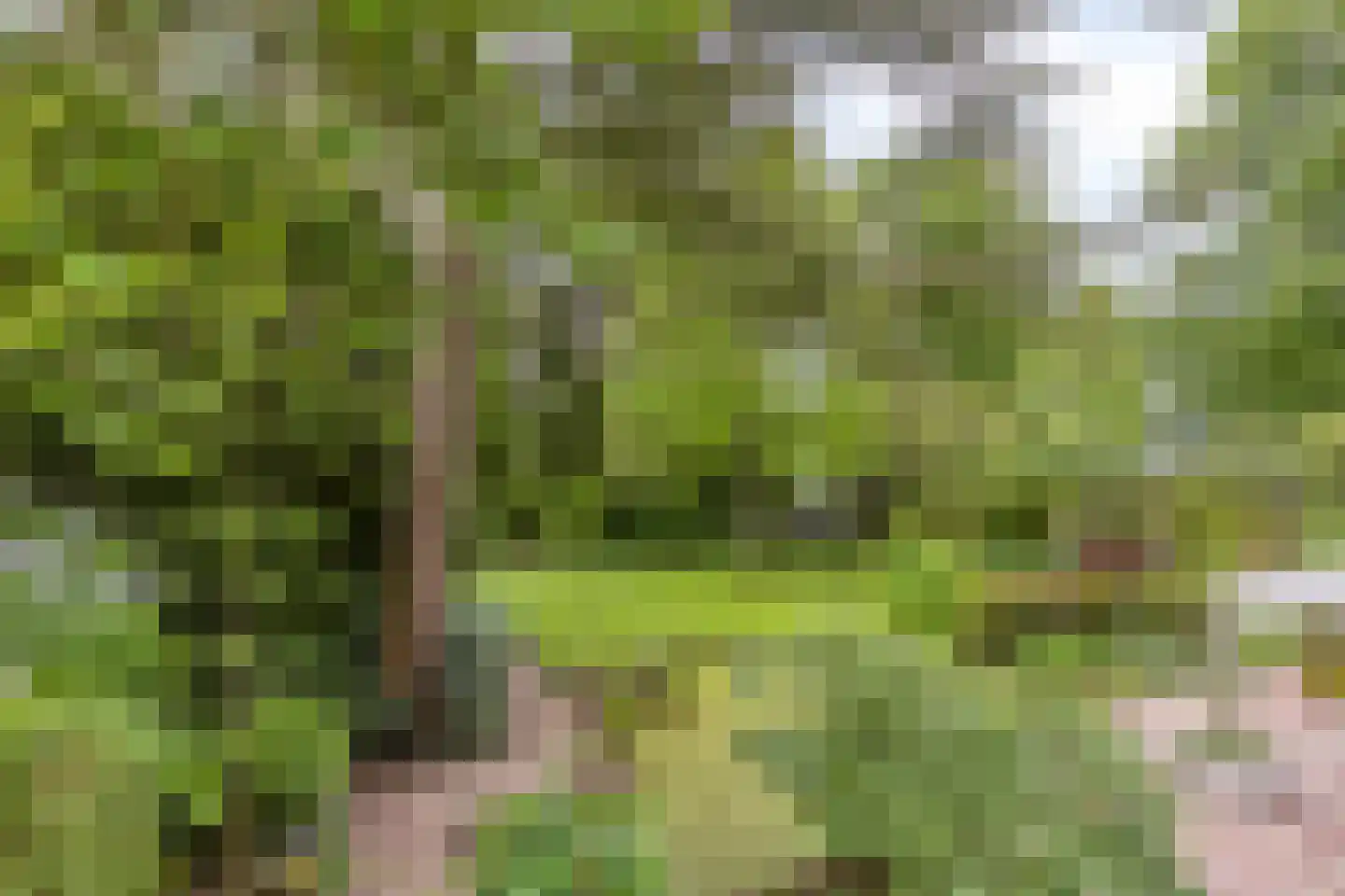 Blokvenlaan 47 Waalre thumbnail 53