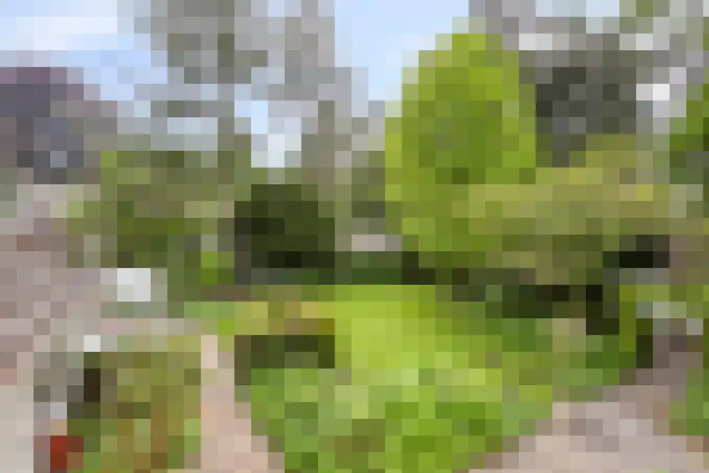 Blokvenlaan 47 Waalre thumbnail 54