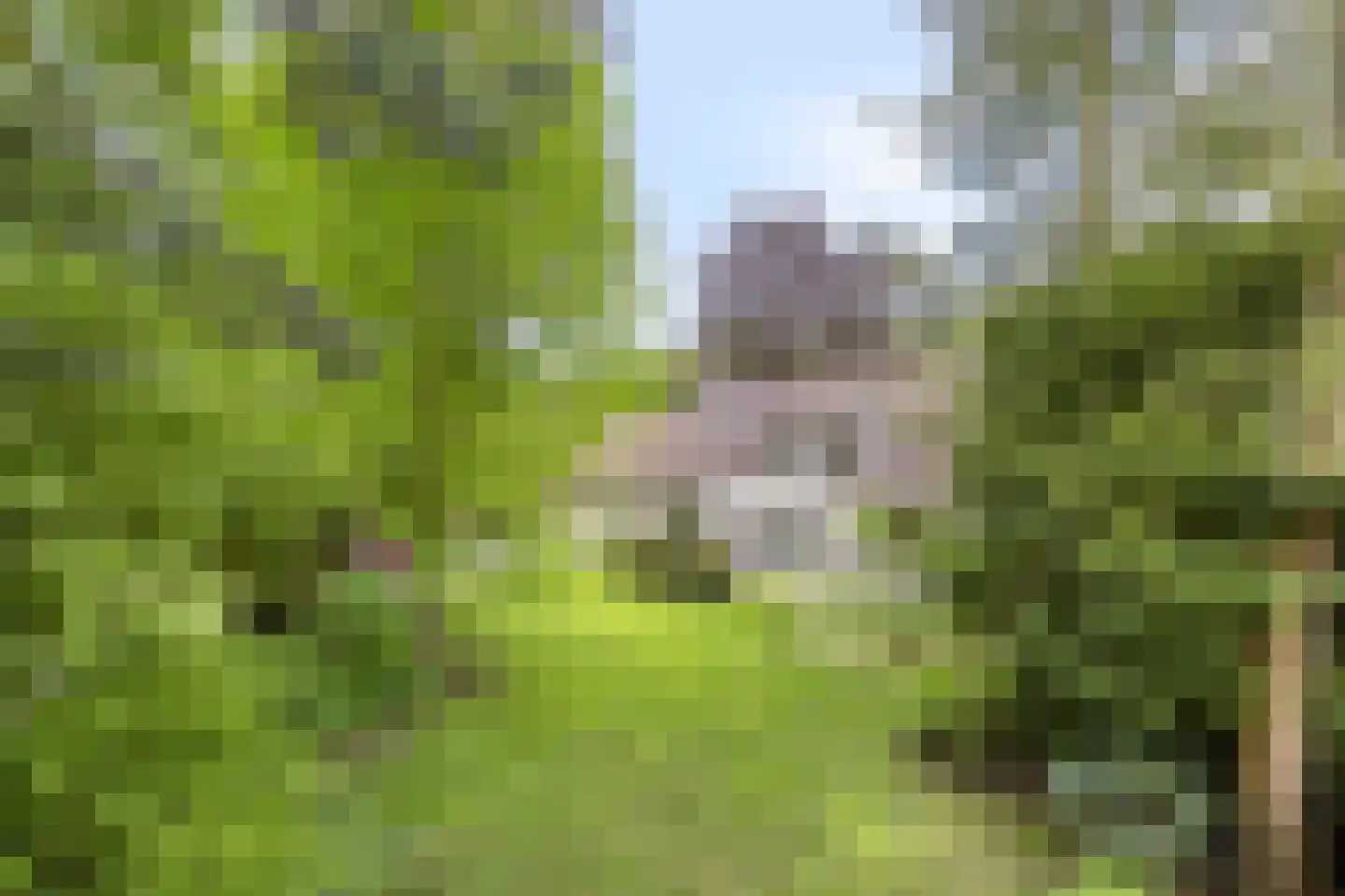 Blokvenlaan 47 Waalre thumbnail 6