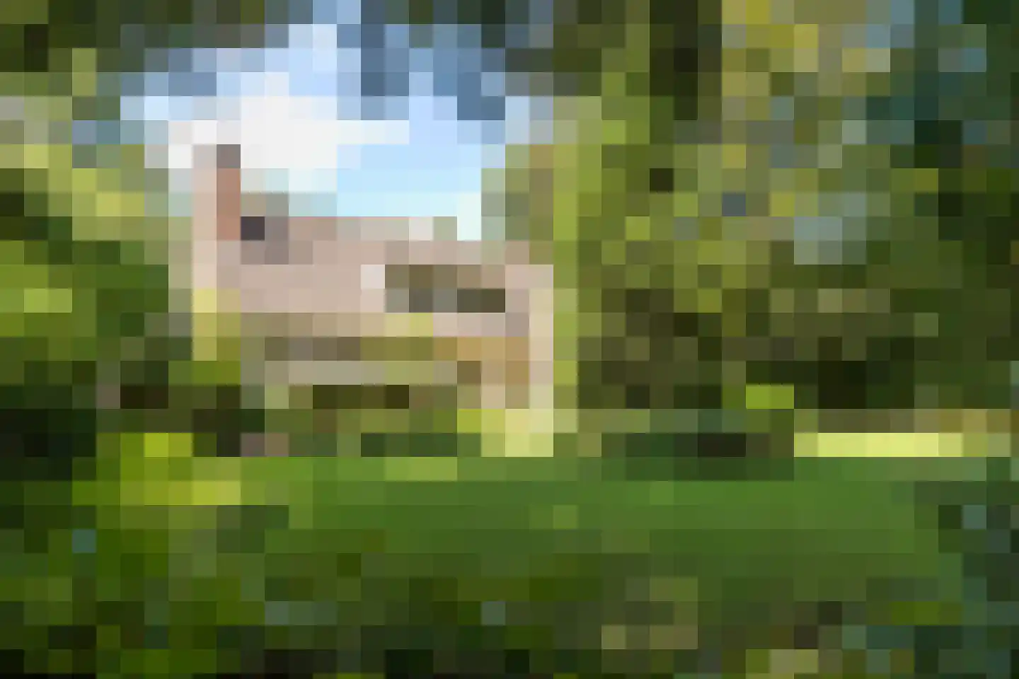 Blokvenlaan 47 Waalre thumbnail 6